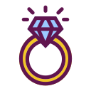 anillo icon