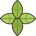 albahaca icon