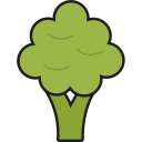 brócoli icon