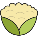 coliflor icon