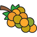 uvas icon