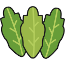 lechuga icon