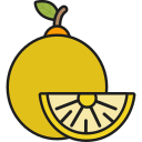 naranja icon