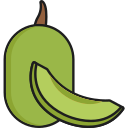 papaya icon