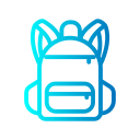 bolsa icon