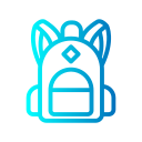 bolsa icon