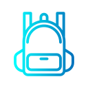 bolsa icon