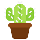 cactus icon