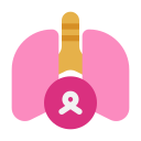 cáncer de pulmón icon