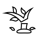 Cut plant 
