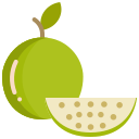 fruta icon