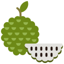 fruta icon