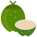 fruta icon