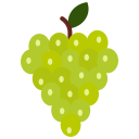 fruta icon