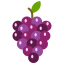 fruta icon