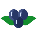 fruta icon