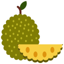 fruta icon