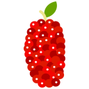 fruta icon