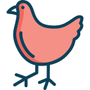 pollo icon