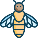 insectos icon