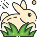 conejo icon