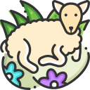 animal icon