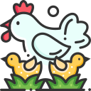 pollo icon