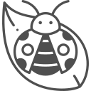 insecto icon