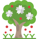 primavera icon