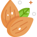 vegetariano icon