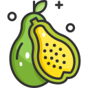 fruta icon