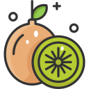 dieta icon