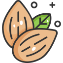 vegetariano icon