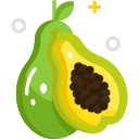 fruta icon