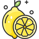 fruta icon