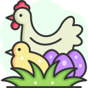 pollo icon