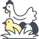 pollo icon