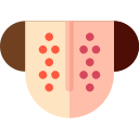 Lengua icon