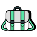 bolso icon