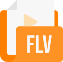 formato de archivo flv icon