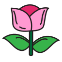 tulipán icon
