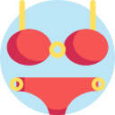 bikini icon