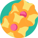 Galletas icon