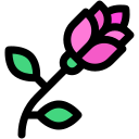 rosa icon