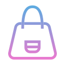 bolsa icon