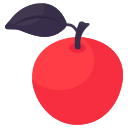 fruta icon