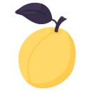 fruta icon