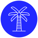 palmera icon