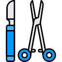 saludable icon