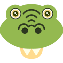 crocodile 